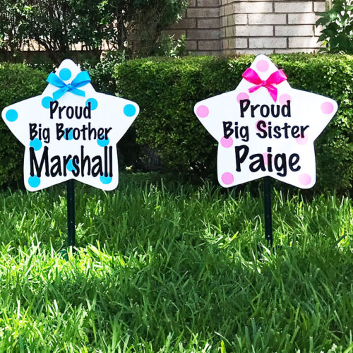 Star SIgns: Birth Announcement Yard Stork Sign in Fayetteville, Dunn, Clinton