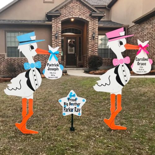 Twin Pink and Blue Stork Sign With Generic Bundles and Sibling Star, Birth Announcement Yard Stork Sign in  Fayetteville, Dunn, Clinton